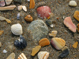 Gold Spanish DoubloonSparkles Like Treasure in the Surf