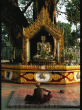 Buddhist Monk Meditating Near Altar with Buddha Statue and Gilt