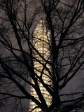 Washington Monument Sheathed in Scaffolding