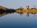 Palm Trees Line the Shore of Umm Al-Maa