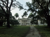 Old Antebellum Style Mansion Amid Palm Trees and Live Oaks