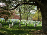 Rows of Tombstones Mark the Graves of Veterans Who Served During War