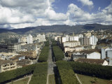 View of Belo Horizonte's Beautiful Tree-Lined Afonso Pena Avenue