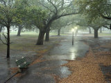 Rain Softly Falls on White Point Gardens
