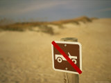 No Vehicles Allowed Sign on a Sand Dune at Cape Lookout