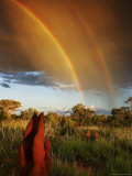 Double Rainbow over a Australian Grassland with Termite Mounds