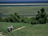 Couple Walking a Nature Trail Towards Marshes on Great Island