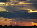 Dramatic Sky at Twilight with Clouds and Flying Bird Silhouette