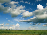 Cloud-Filled Sky over Lush Green Grassland