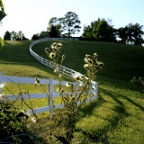 White Plank Fence Borders a Pasture