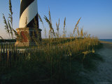 Sea Oats Bending in Wind Near the Cape Hatteras Lighthouse