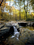 Woodland View at Long Branch Nature Center
