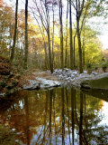 Woodland View at Long Branch Nature Center
