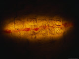 Maya Inscription in Jolja' Cave Dates To 350 Ad