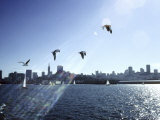 Skyline of San Francisco As Seen From San Francisco Bay