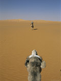 Tuareg Guide on a Camel Photographed From the Back of a Camel