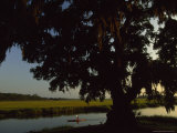Late Afternoon Kayaker in the Marshes Along the Georgia Sea Islands
