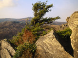 Granite Outcrop of Big Pinnacle  with Mount Rogers Beyond
