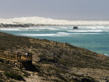 Whale Watching at the Head of Bight