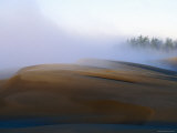 Umpqua Dunes Landscape