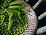 Freshly Podded Peas on Old Green Chair