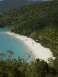 Overhead of Trunk Bay