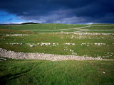 Limestone 'Pavements'  Dry Stone Walls and Moody Skies  All Characteristics of the Dales