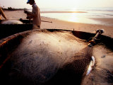 Fishermen with Nets and Basket Boats