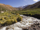 River in Rio Colorado Valley