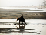 Elephant Crossing Rapti River