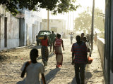 Tree Lined Streets of Ilha De Mozambique