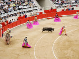 Bullfight at Placa De Braus Monumental  Barcelona  Spain