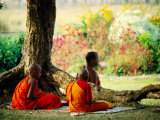 Buddhist Monks at Meditation under Tree