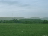 American Football Goals in Playing Field Covered with Dandelions