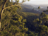 Numinbah Valley from Bellbird Lookout  Binna Burra