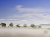 Morning Mist over Farmland