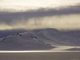 Snow Peaks Above Paso De Los Cinco Glaciares