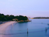 Shark Beach  Nielsen Park  Vaucluse