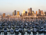 Afternoon Sun Shines on the City