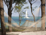 Beach Hammock with Catamaran in Background  Private Island of Le Tuessrok Resort