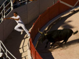 Man Jumping Fence During Bull Race at Les Arenes Roman Amphitheatre