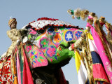 Colourful Elephants at Elephant Festival