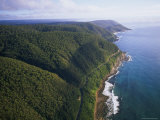Aerial of Great Ocean Road and Otway Ranges