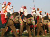 Elephant Polo at the Elephant Festival