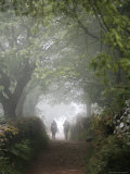 Walkers on Pilgrimage Route Through Northern Spain