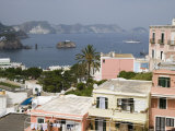 Houses Overlooking Ponza Bay