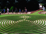 Maze at Cockington Green Gardens