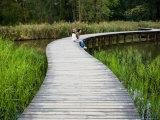 People on Walking Trail Through the Hong Kong Wetland Park  Tin Shui Wai  New Territories