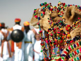 Camel Decoration at Desert Festival
