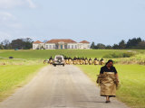 Paying Tribute to the New King of Tonga